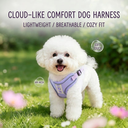 Reflective Mesh Harness & Leash Set