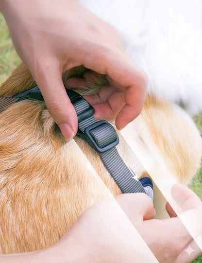 Cooling Mesh Harness & Leash Set