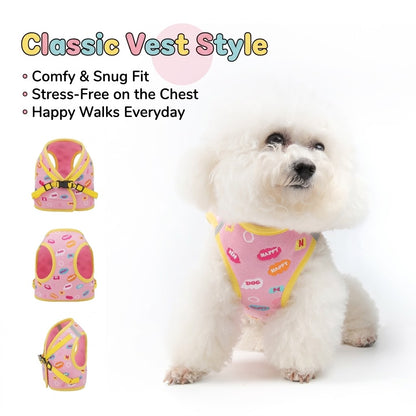 Embroidered Mesh Harness & Leash Set