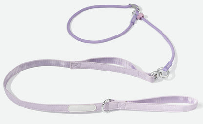 Dual Handle Training Dog Leash