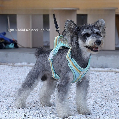 Macaron Striped Dog Harness for Dogs – Multicolor