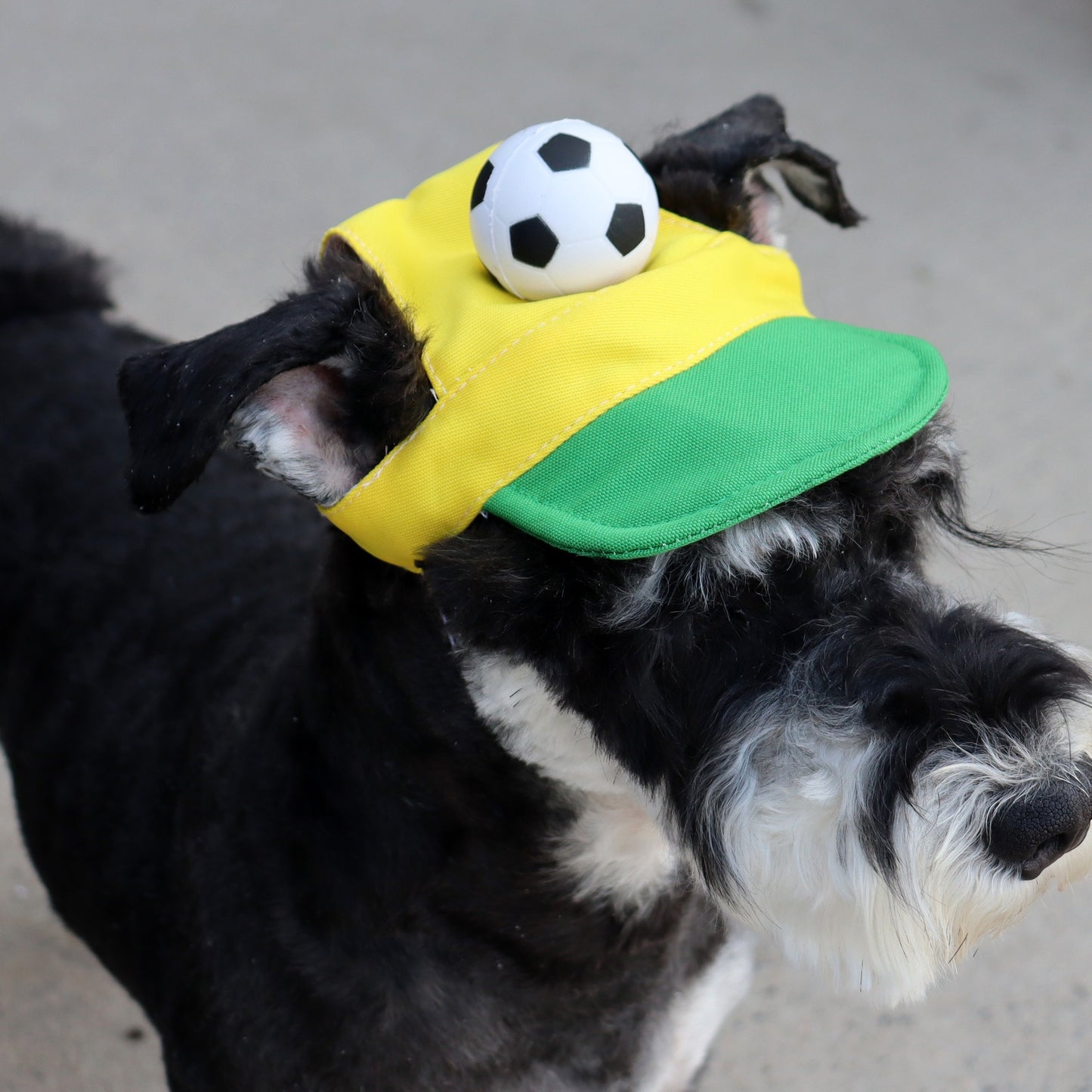 Soccer Fan Dog Hat