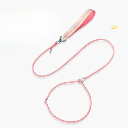 Adjustable Slip Lead Dog Leash