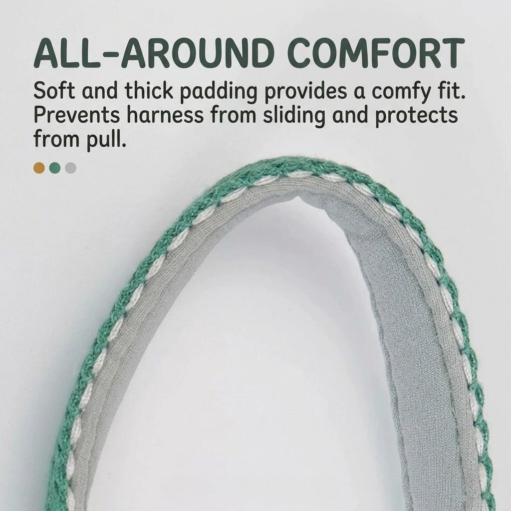 Lightweight Quick-Wear Harness & Leash Set