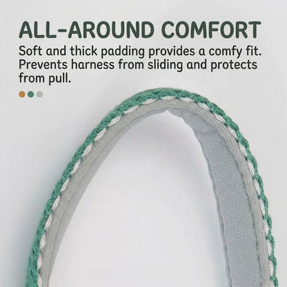 Lightweight Quick-Wear Harness & Leash Set
