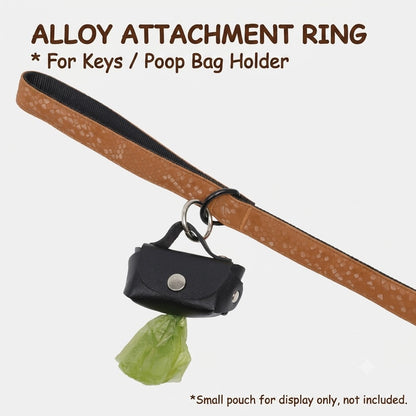 Snake Pattern Collar & Leash Set