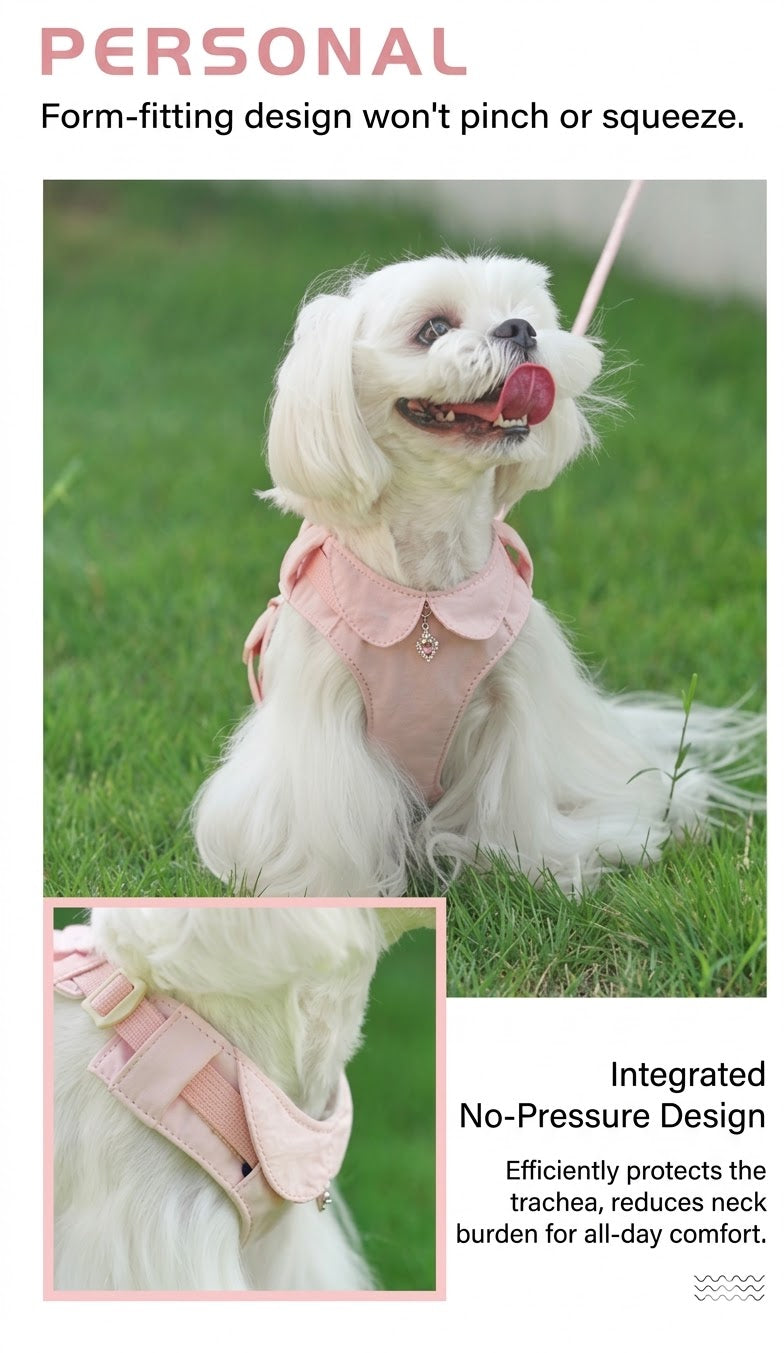 Floral Harness, Leash & Bag Set