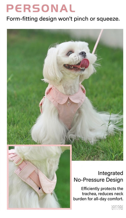 Floral Harness, Leash & Bag Set