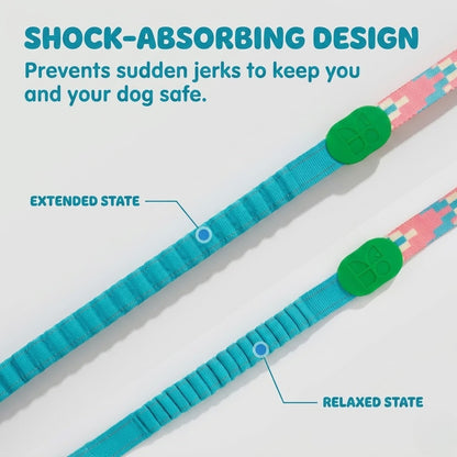 Patterned Hands-Free Dog Leash