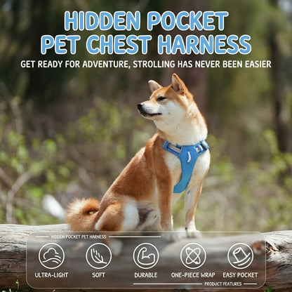 Hidden Pocket Harness & Leash Set