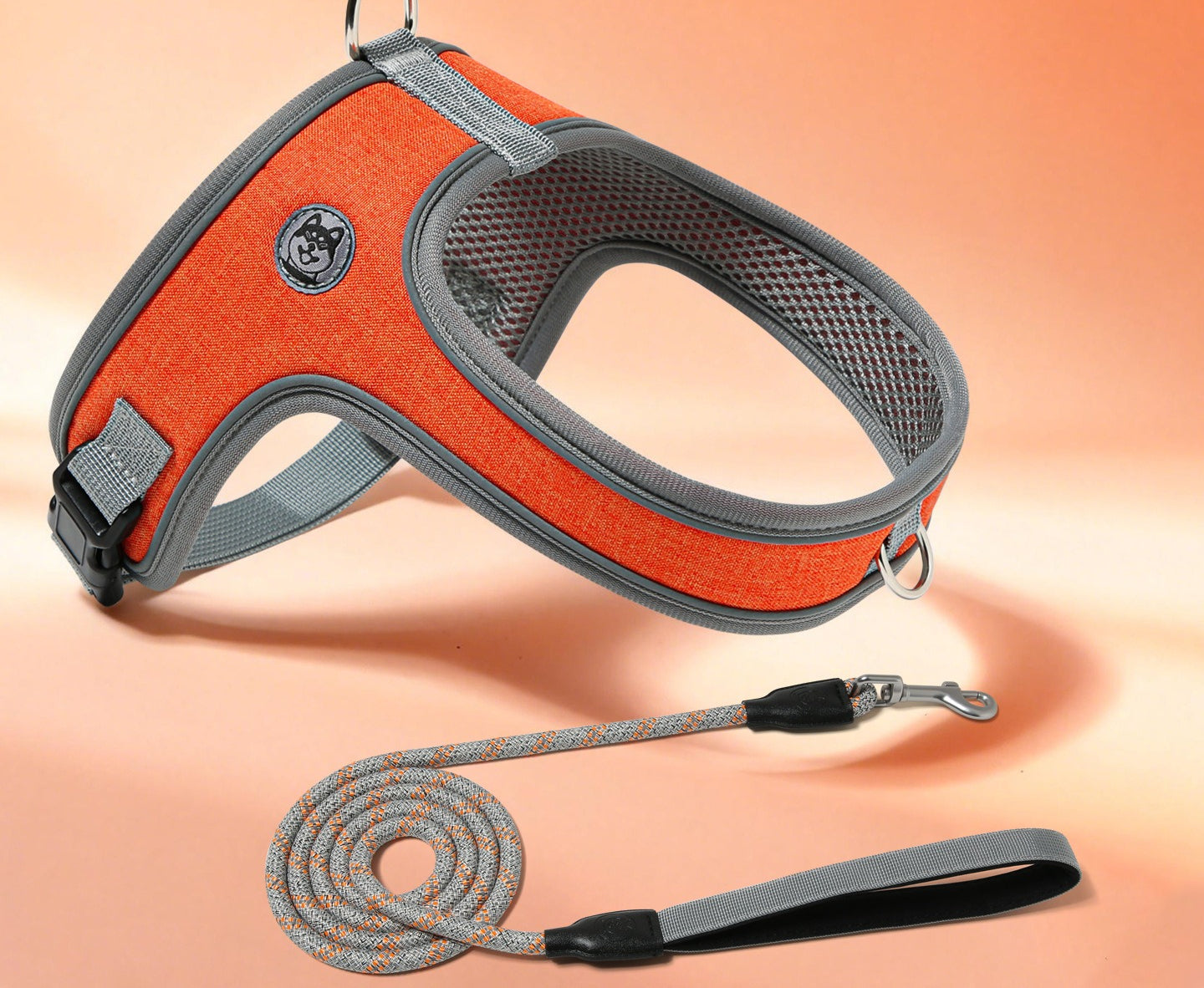Reflective Saddle Harness & Leash Set