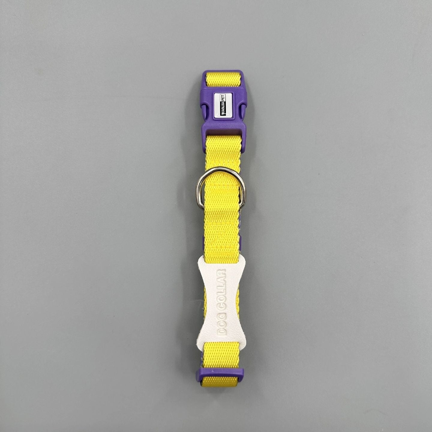 Color Block Dog Collar