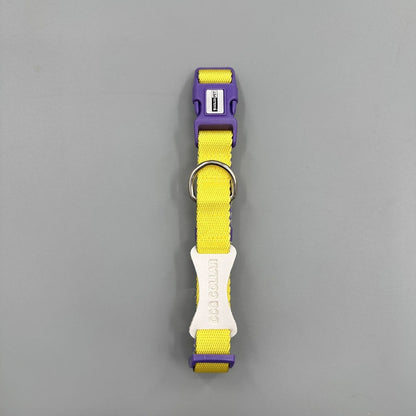 Color Block Dog Collar
