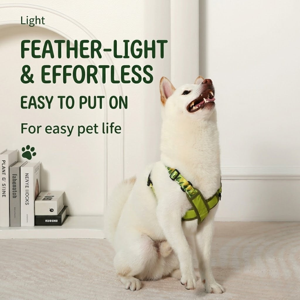 X-Shaped Breathable Harness & Leash Set