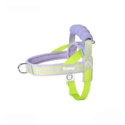 Foam Handle Harness & Leash Set