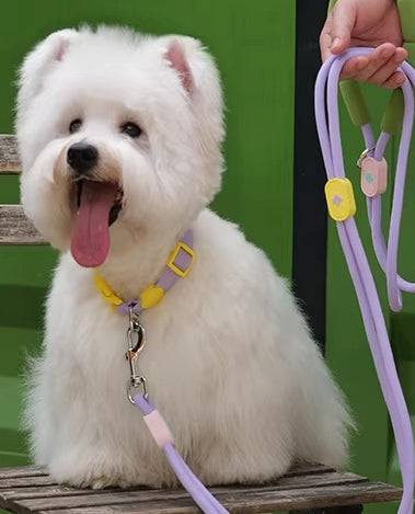 Soft Nylon Collar & Leash Set