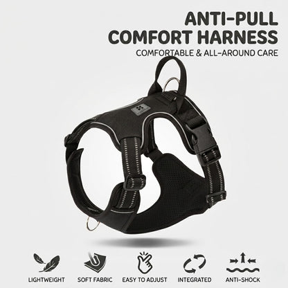 Reflective Harness & Leash Set