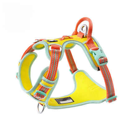 Reflective No-Pull Harness & Leash Set
