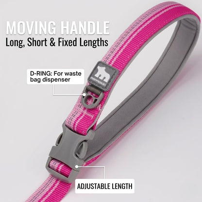 Multi-functional Reflective Dog Leash
