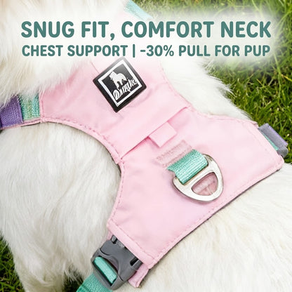 Lightweight Breathable Harness & Leash Set
