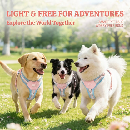 Lightweight No-Pull Harness & Leash Set