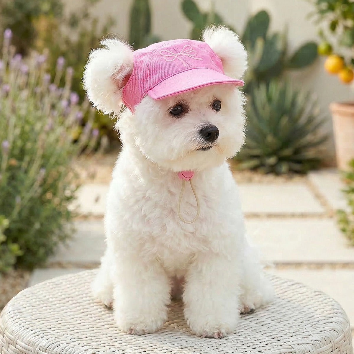 Adjustable Outdoor Dog Hat