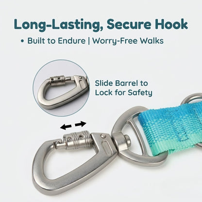 Gradient Dual-Handle Dog Leash