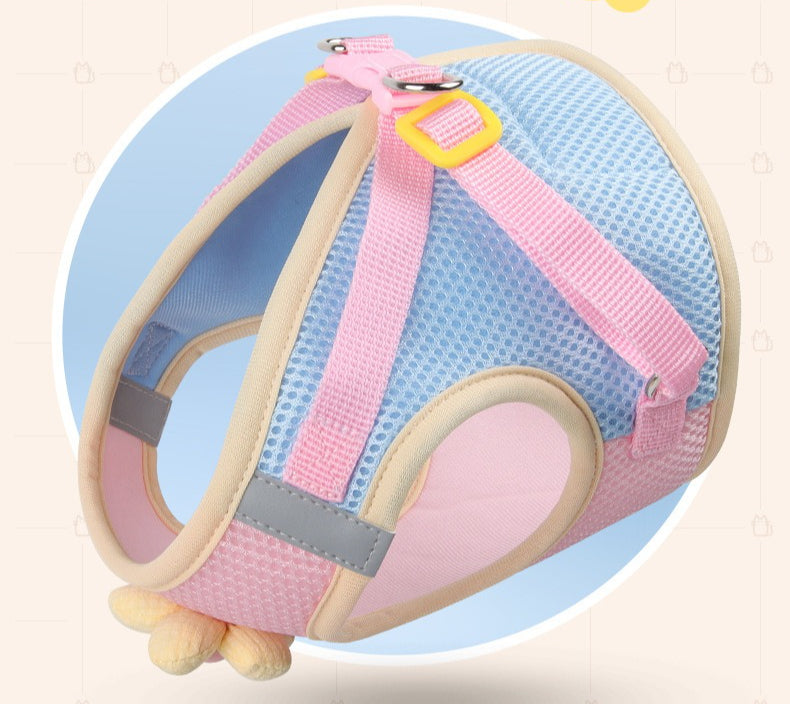 Floral Mesh Harness & Leash Set