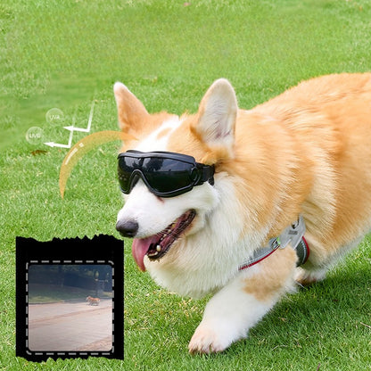 dog goggles, UV protection, pet sunglasses, eye protection, adjustable dog goggles