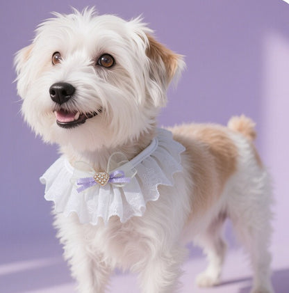Lace Bow Dog Necklace