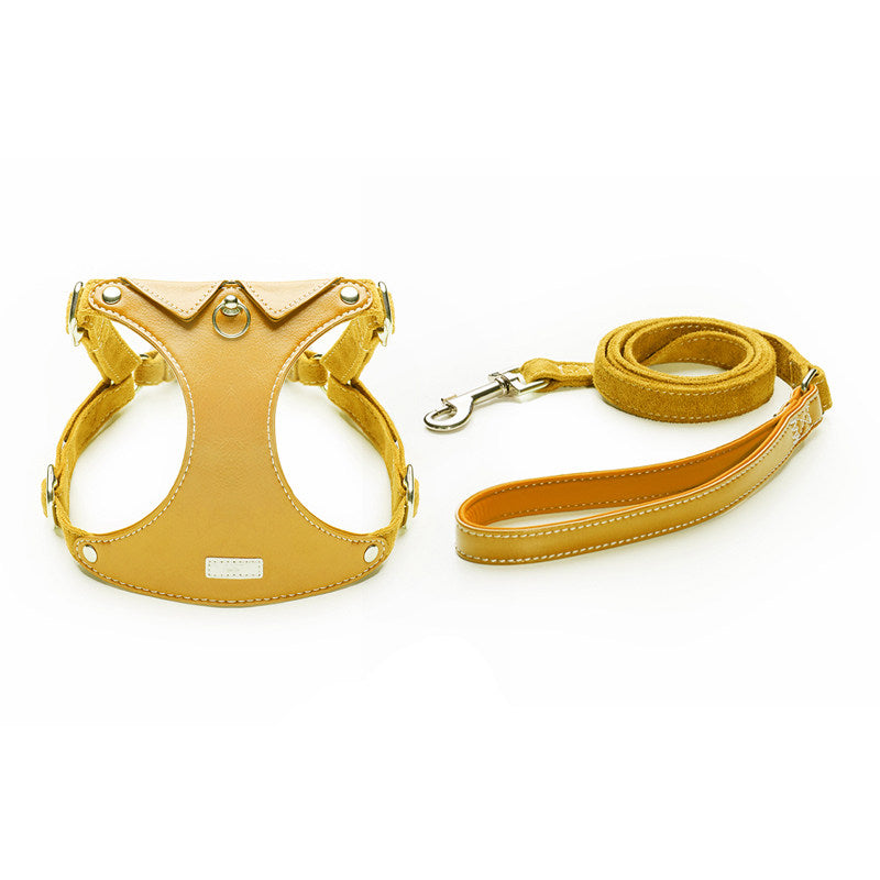 Shirt Collar Harness & Leash Set