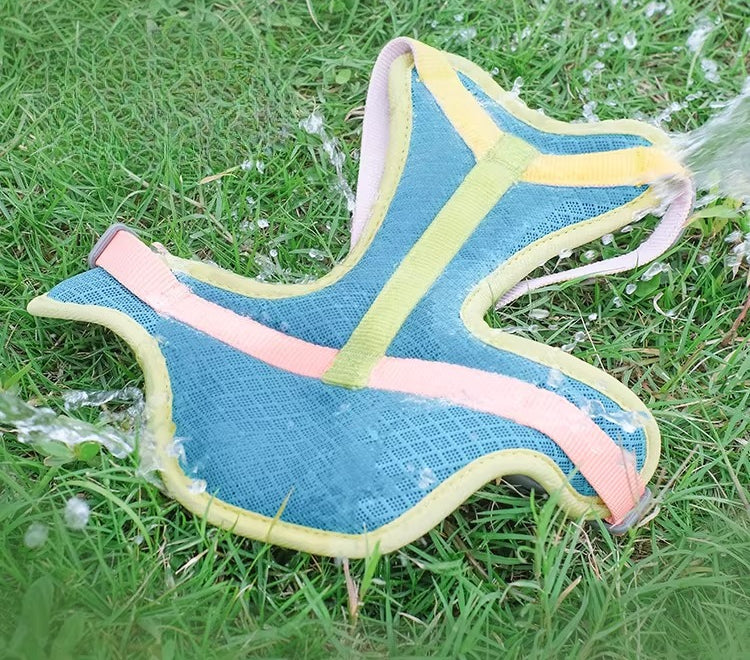 Cooling Mesh Harness & Leash Set