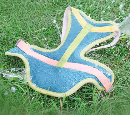 Cooling Mesh Harness & Leash Set