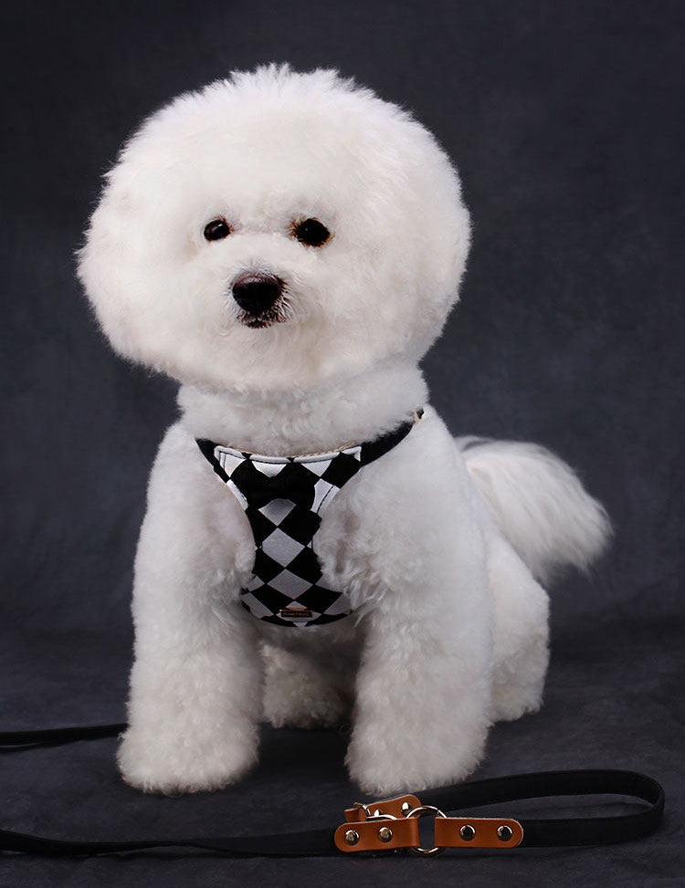 Checkered Harness & Leash Set
