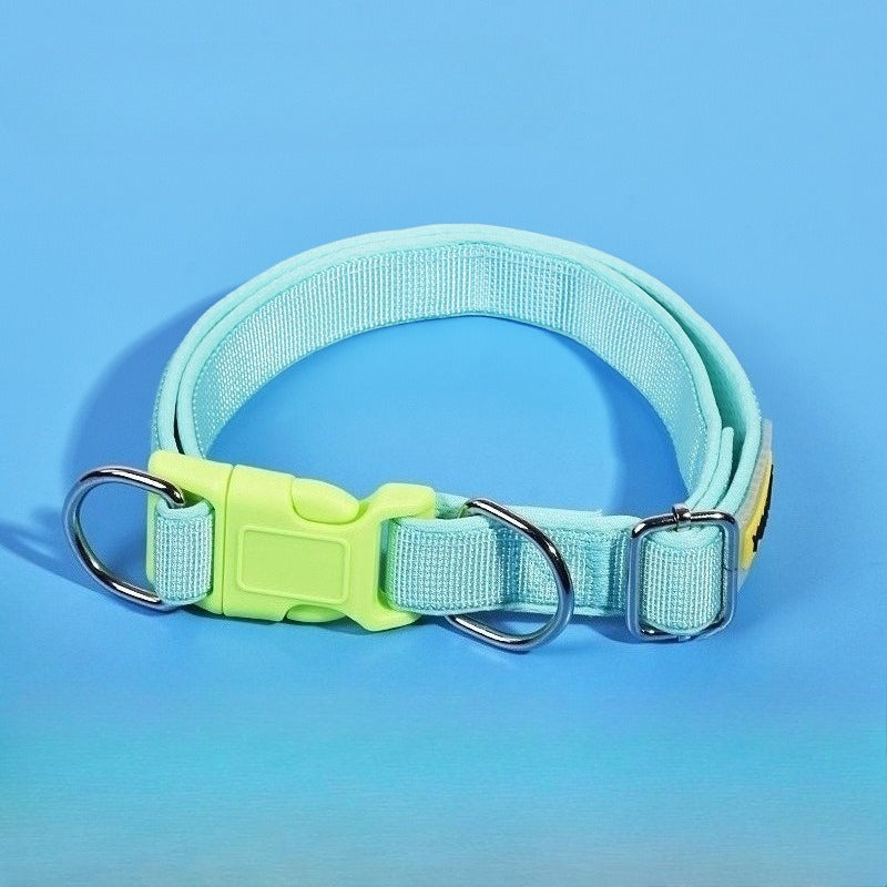 Padded Solid Dog Collar for Dogs – Pink