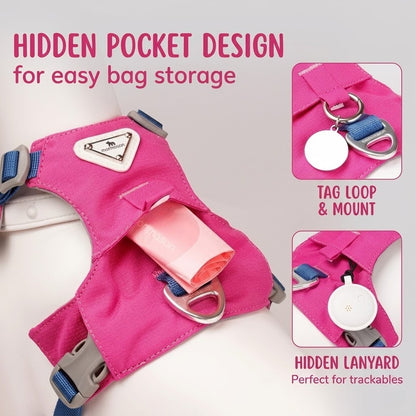 Lightweight Breathable Harness & Leash Set
