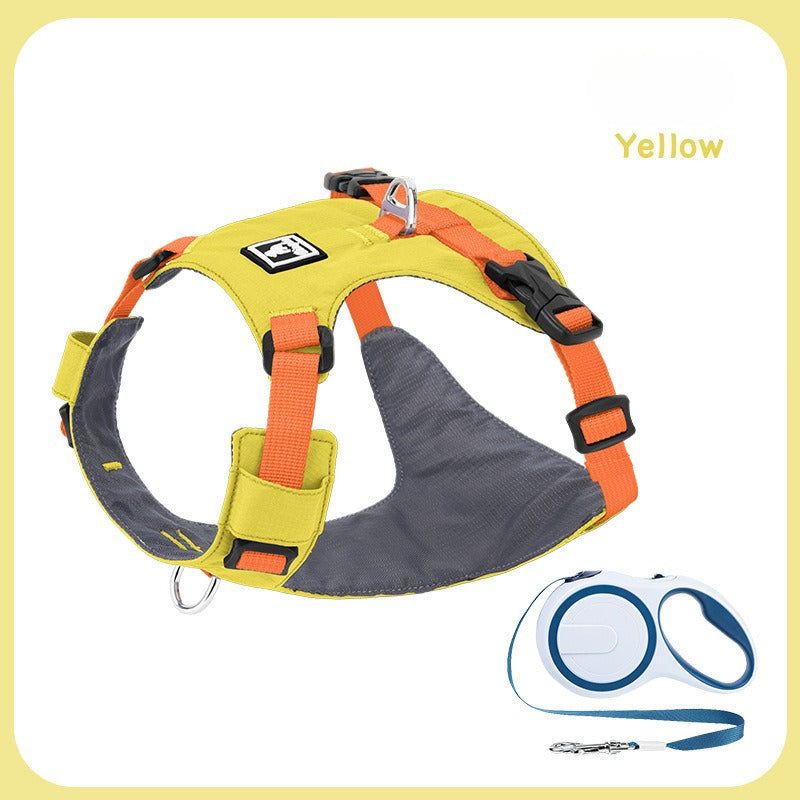 Lightweight Harness & Leash Set