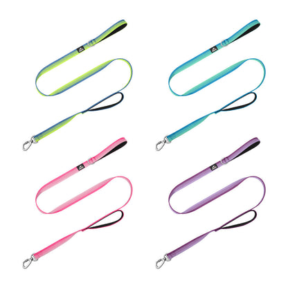 Gradient Dual-Handle Dog Leash