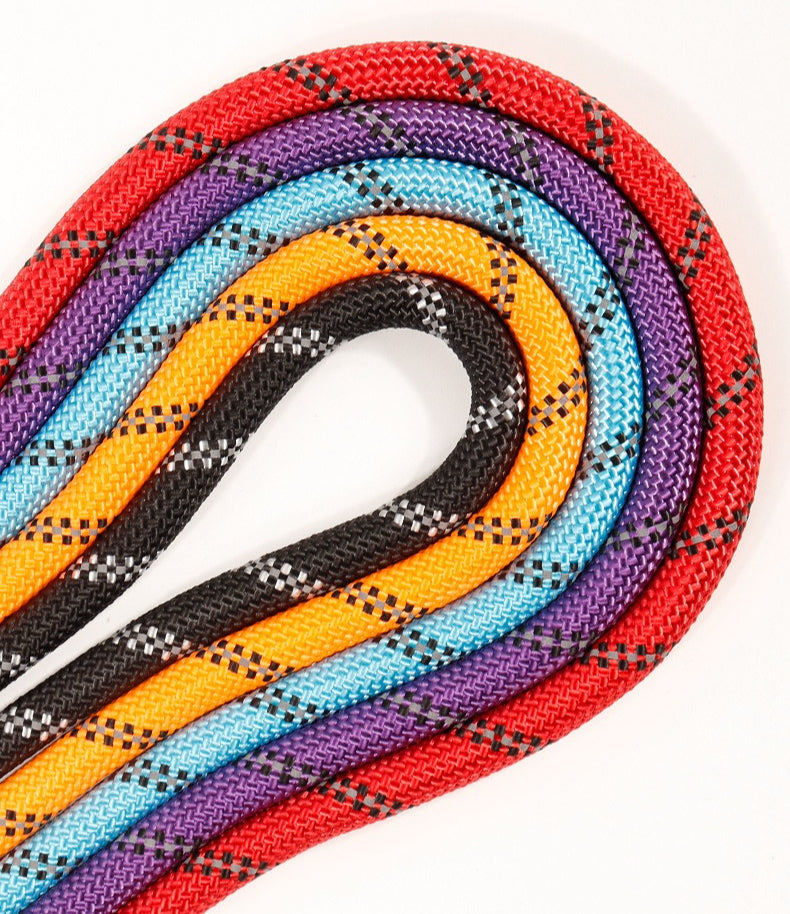 Reflective Braided Dog Leash