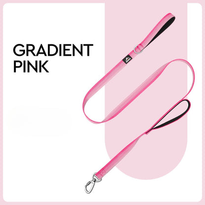 Gradient Dual-Handle Dog Leash