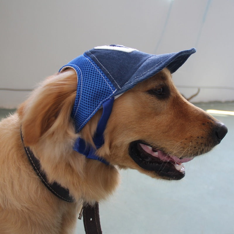 Corduroy G-Patch Dog Hat