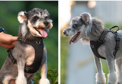 Reflective Harness & Leash Set