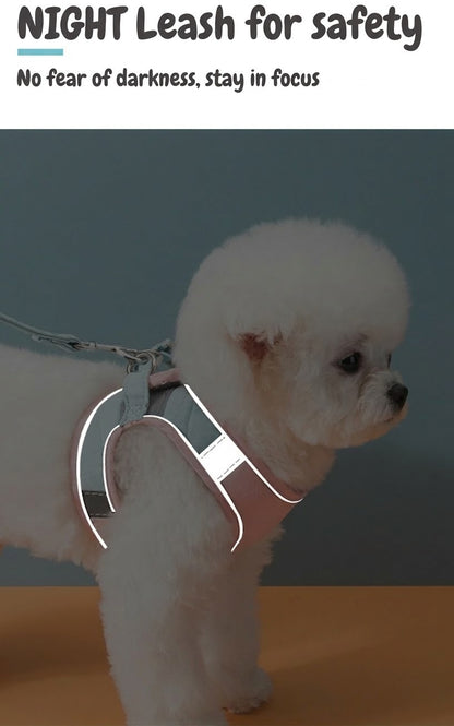 Reflective Suede Harness & Leash Set