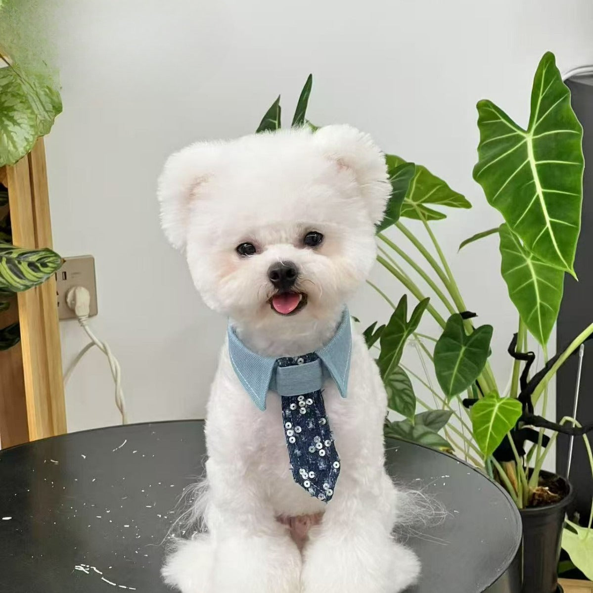 Sequin Denim Dog Bow Tie for Dogs – Multi