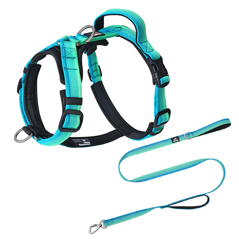 Gradient Harness & Leash Set