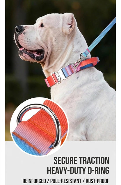 Gradient Tactical Collar & Leash Set