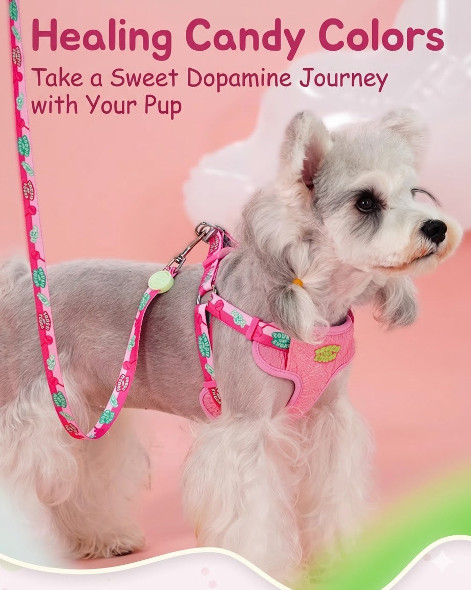 Sugar Series Harness & Leash Set
