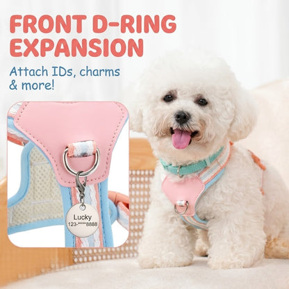 Breathable Y-Shape Harness & Leash Set