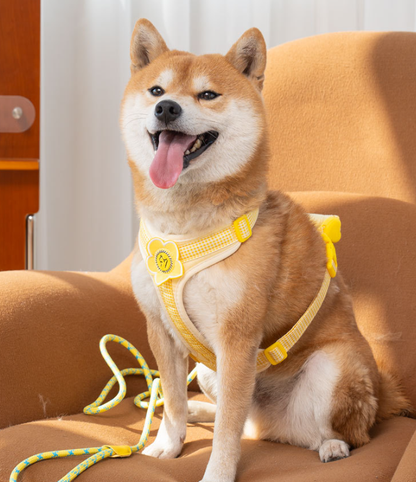 Plaid Harness & Leash Set