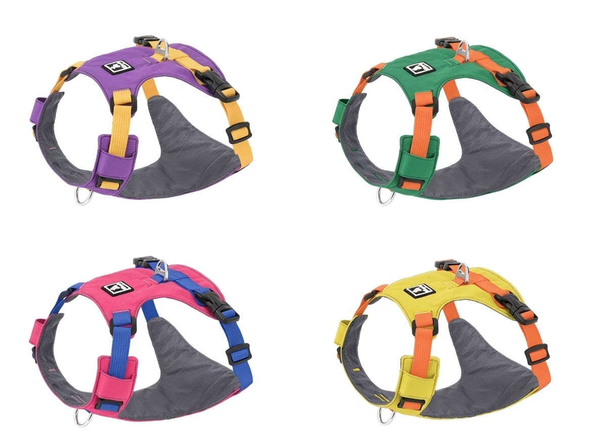 Lightweight Harness & Leash Set